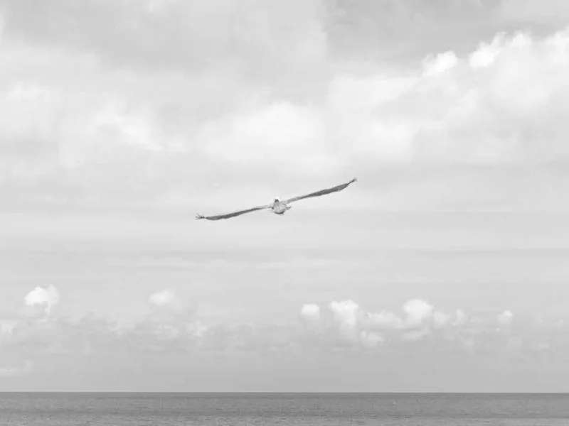 과천수도배관누수과천욕실누수천정누수공사