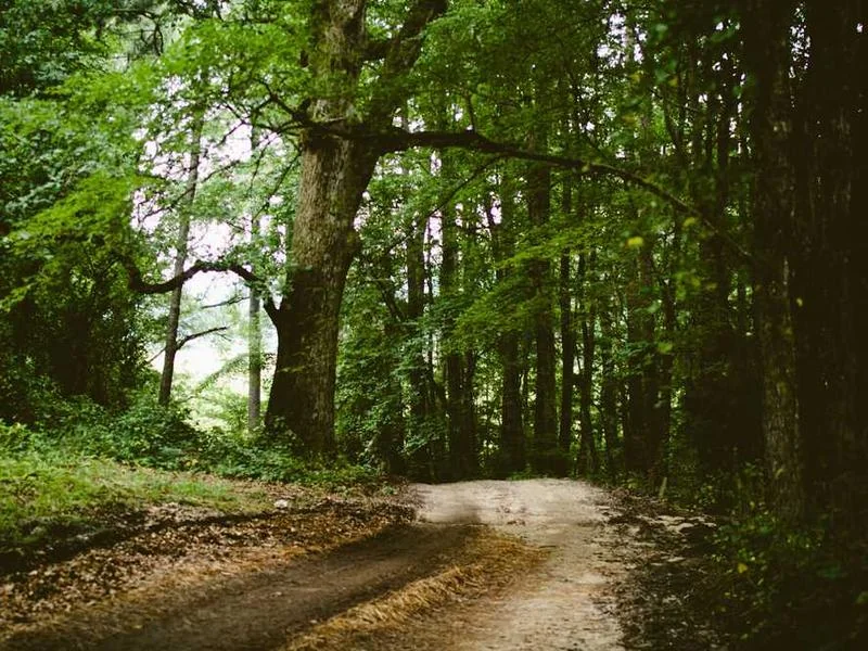 과천수도배관누수과천욕실누수천정누수공사