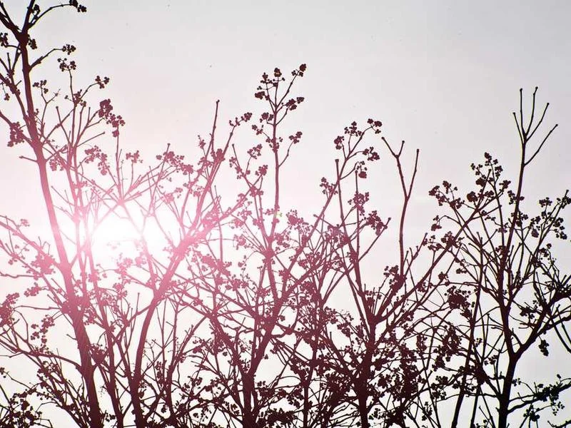 광명수도배관누수광명욕실누수천정누수공사