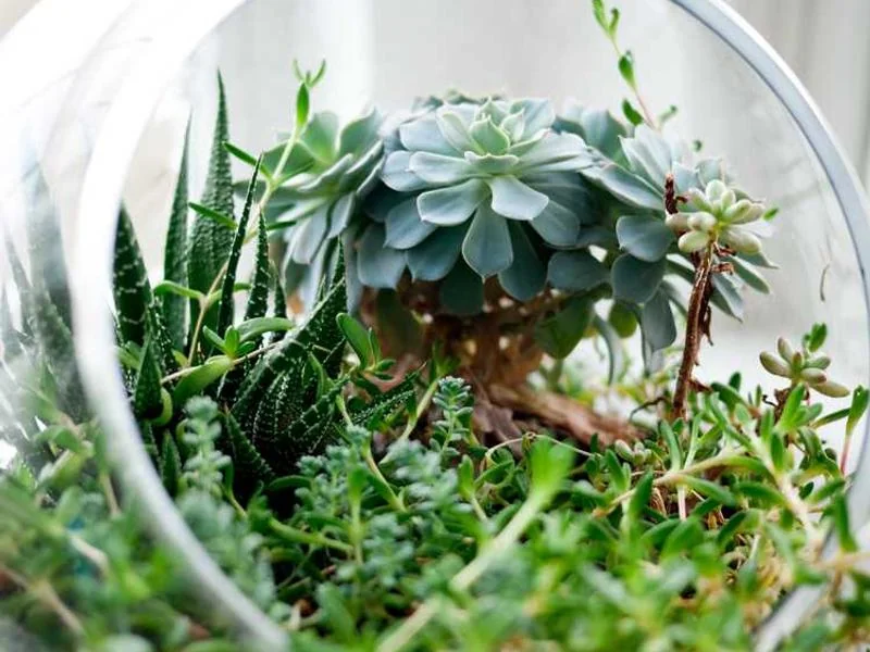 광진구수도배관누수긴급욕실누수천정누수공사