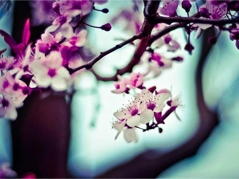 구리수도배관누수구리욕실누수천정누수공사