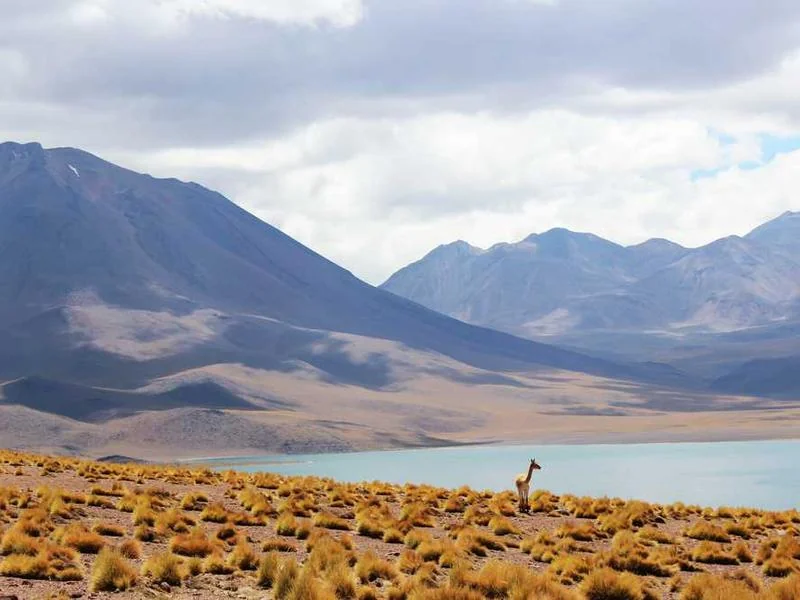 구리수도배관누수구리욕실누수천정누수공사