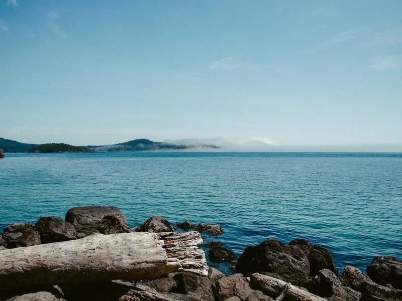 구리수도배관누수구리욕실누수천정누수공사