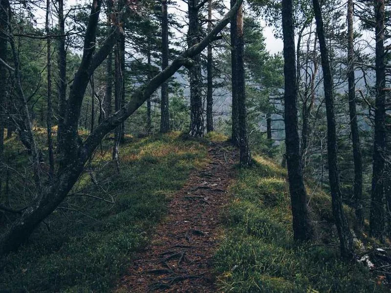 노원구수도배관누수긴급욕실누수천정누수공사