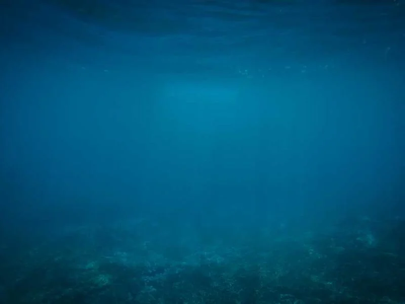 도봉구수도배관누수긴급욕실누수천정누수공사