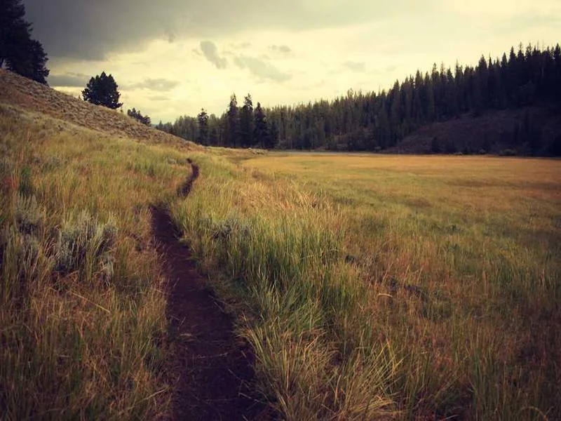 동대문구수도배관누수긴급욕실누수천정누수공사