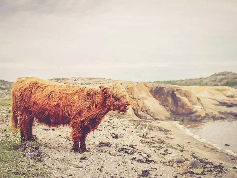 부천수도배관누수부천욕실누수천정누수공사