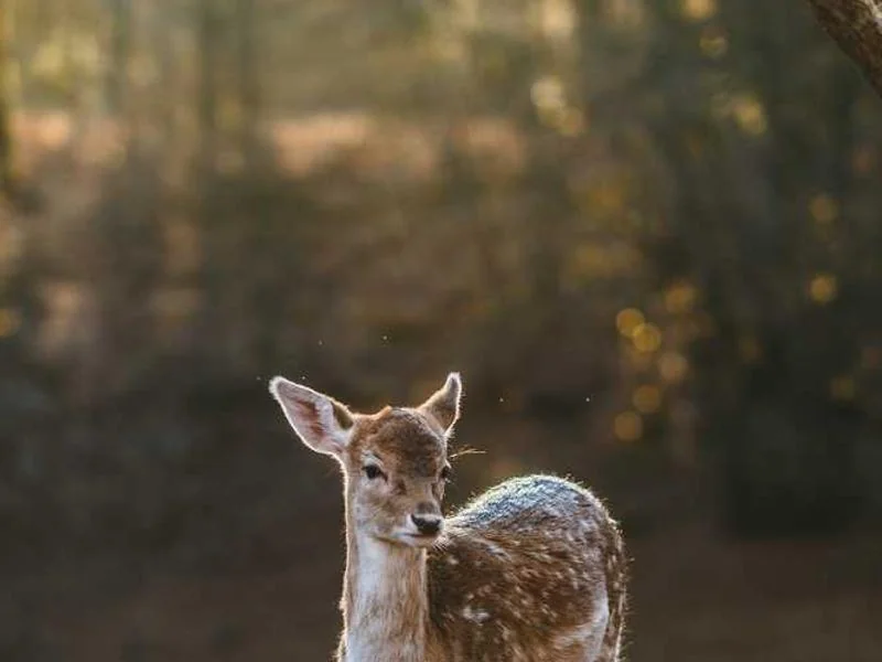 부천수도배관누수부천욕실누수천정누수공사