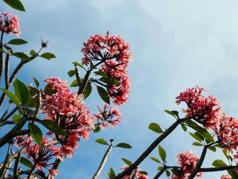 성남수도배관누수성남욕실누수천정누수공사