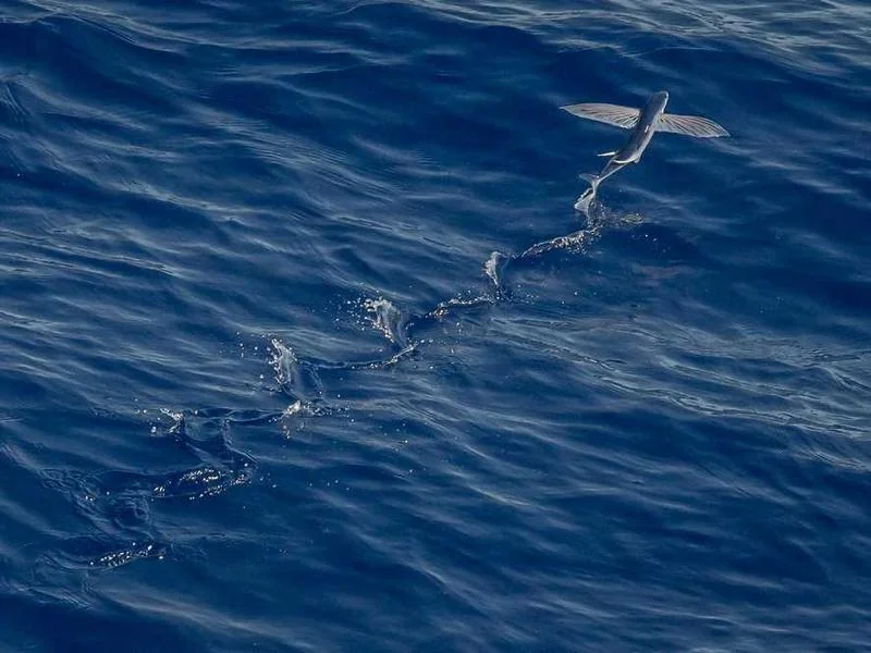 성남수도배관누수성남욕실누수천정누수공사