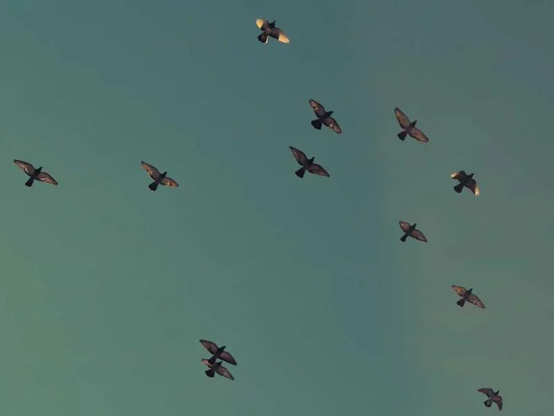 성남수도배관누수성남욕실누수천정누수공사