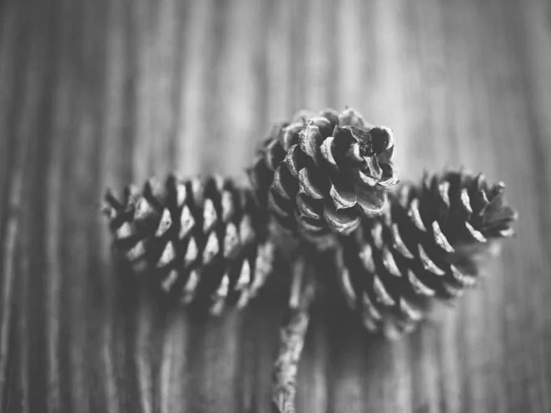 시흥수도배관누수긴급욕실누수천정누수공사