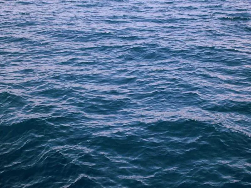 시흥수도배관누수시흥욕실누수천정누수공사