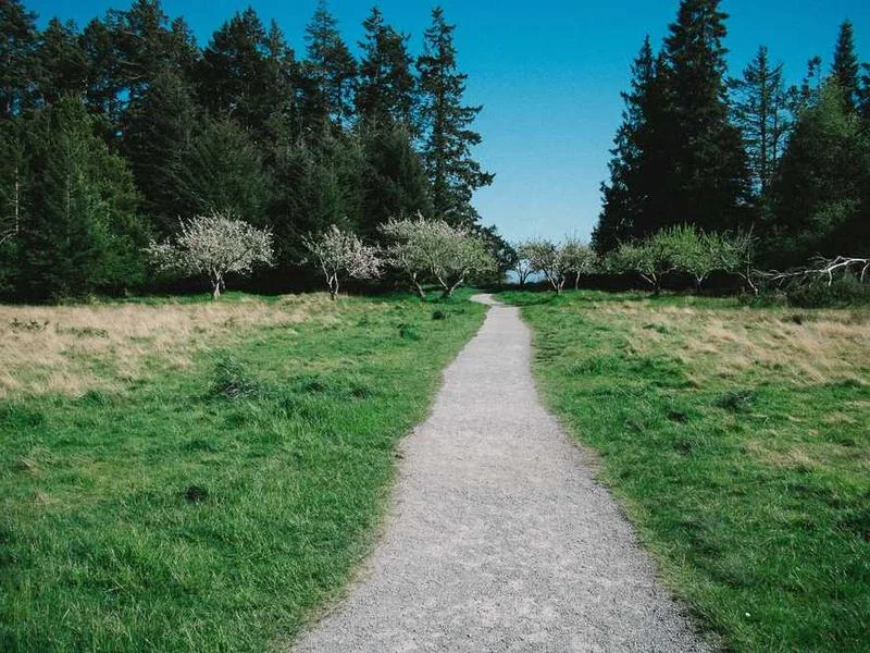 안양수도배관누수안양욕실누수천정누수공사