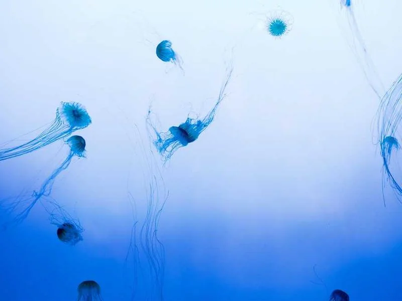 오산수도배관누수오산욕실누수천정누수공사