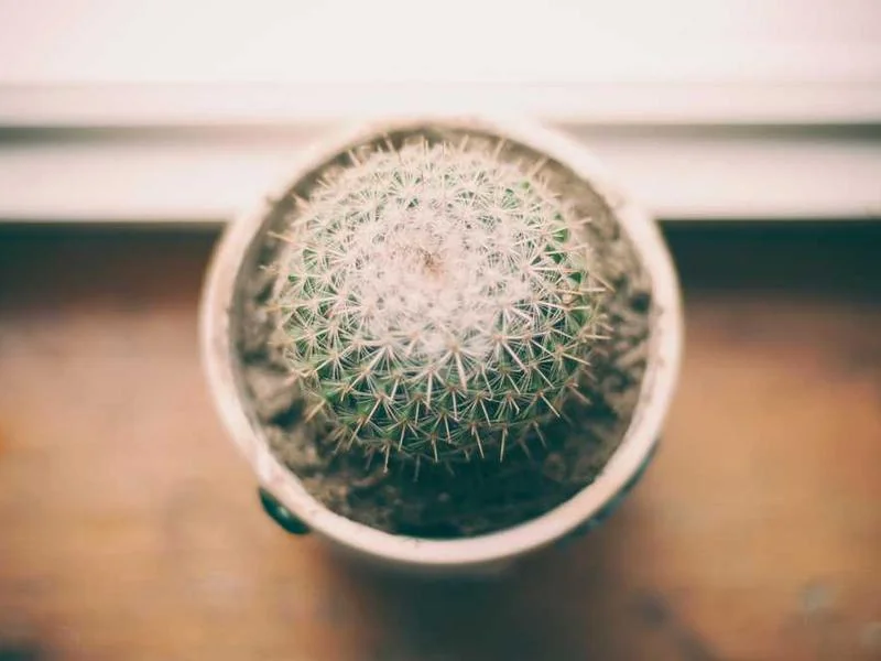 은평구수도배관누수긴급욕실누수천정누수공사