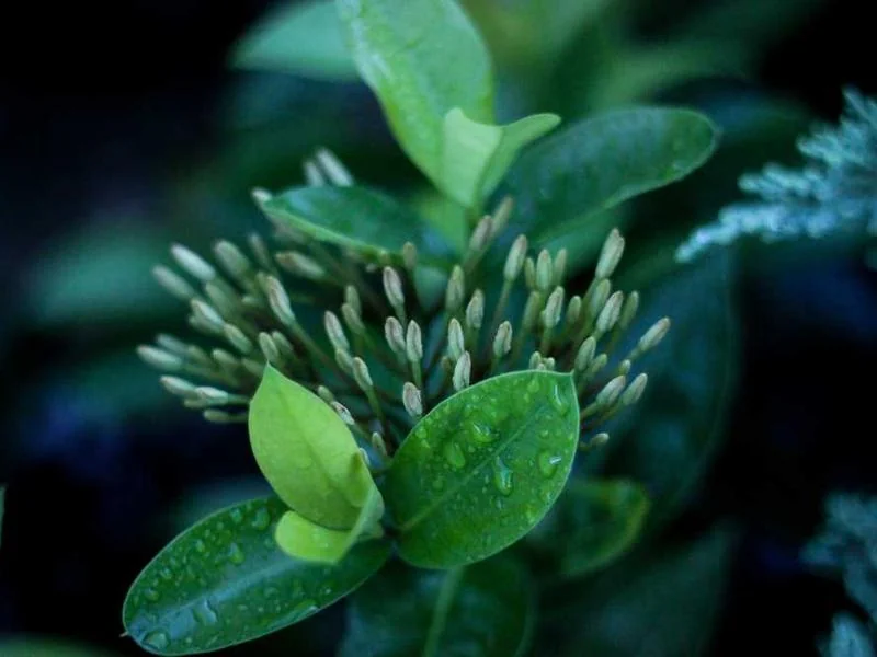 의왕수도배관누수의왕욕실누수천정누수공사