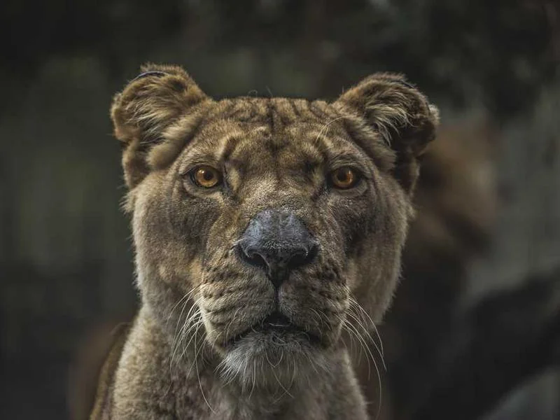 의왕수도배관누수의왕욕실누수천정누수공사