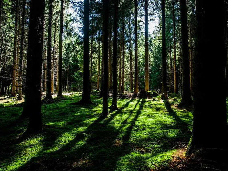 강동구누수탐지,아파트누수,010-4233-5119누수공사,화장실누수,천장누수