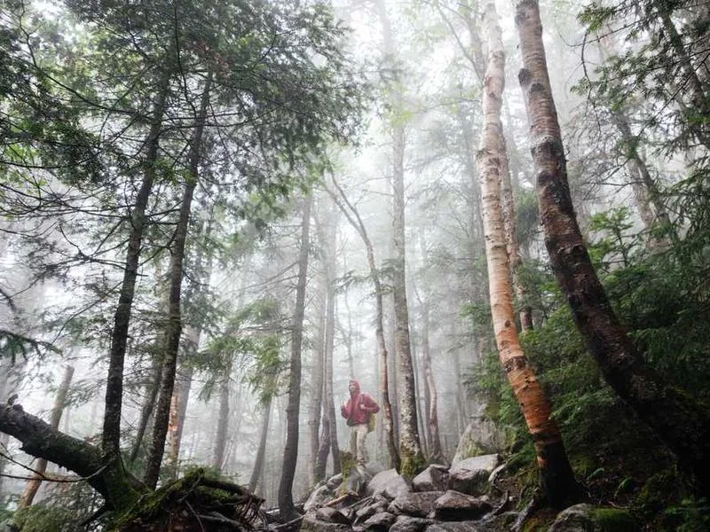 강서구누수탐지,아파트누수,010-4233-5119누수공사,화장실누수,천장누수