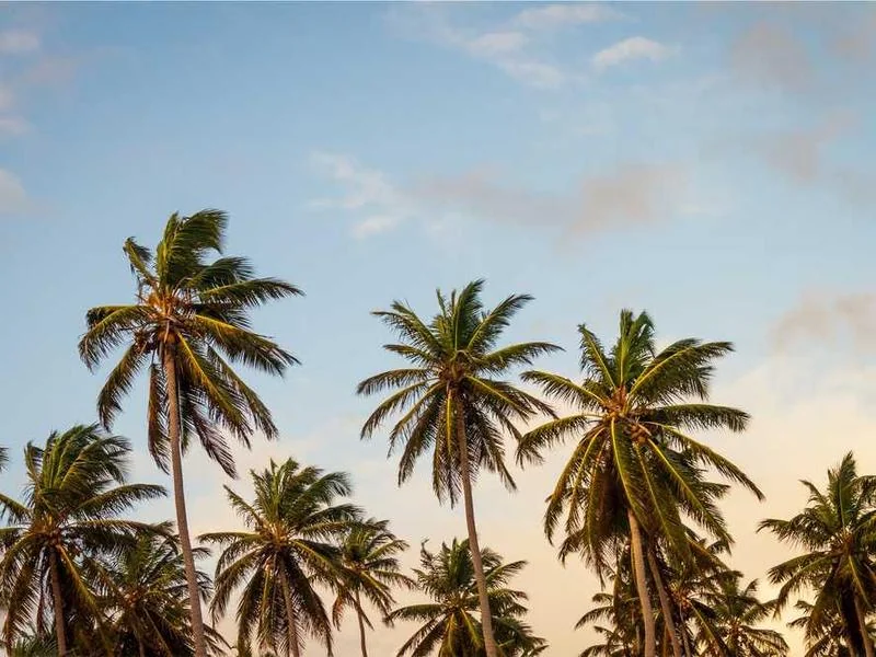 강서구누수탐지,아파트누수,010-4233-5119누수공사,화장실누수,천장누수