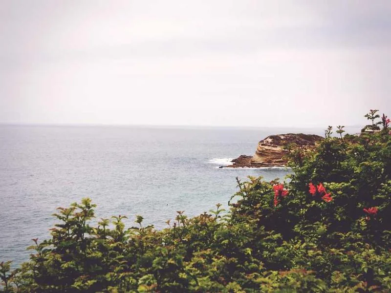 강서구누수탐지,아파트누수,010-4233-5119누수공사,화장실누수,천장누수