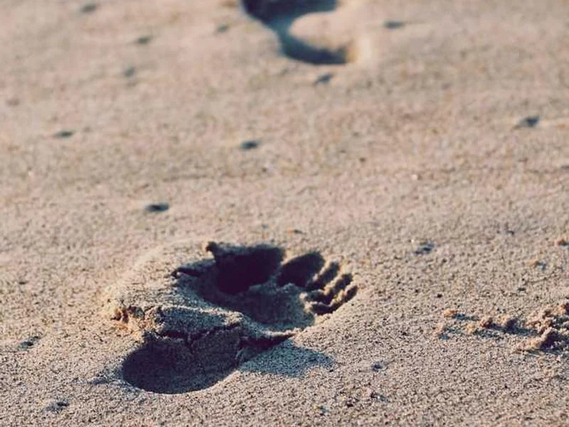 양천구누수탐지,아파트누수,010-4233-5119누수공사,화장실누수,천장누수