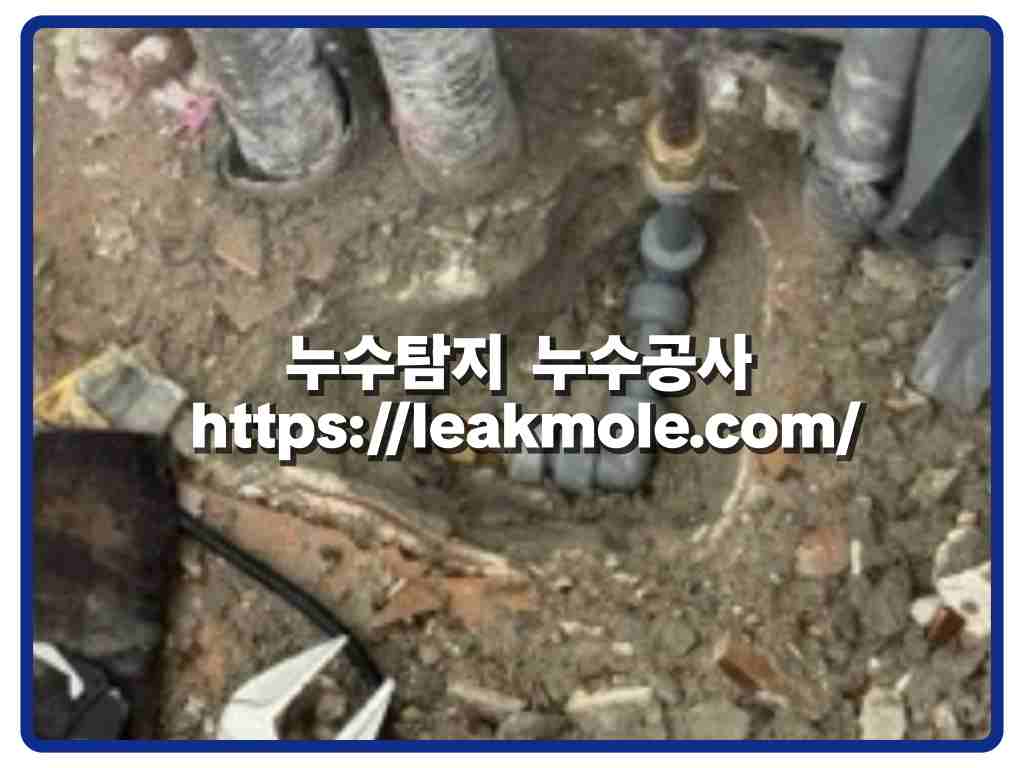 파주누수탐지_세탁실바닥누수