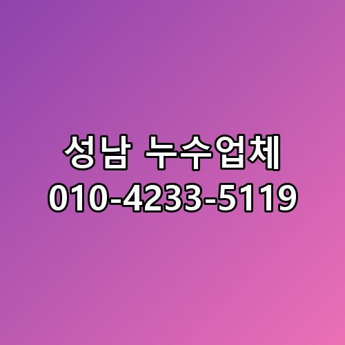 성남 누수업체 010-4233-5119 이 정도일 줄은 몰랐네요
