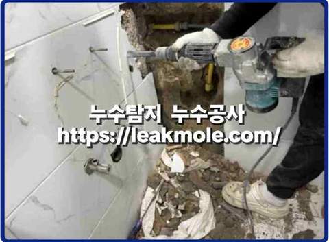 과천 문원동 누수탐지 현장