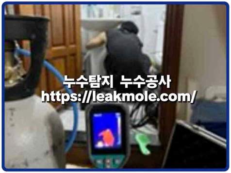 광탄면 누수탐지 열화상 카메라 측정 - 천장 누수 지점 특정