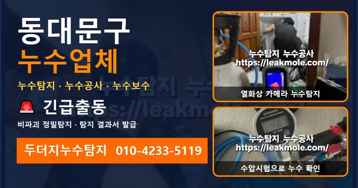 동대문구누수업체 두더지누수탐지 010-4233-5119