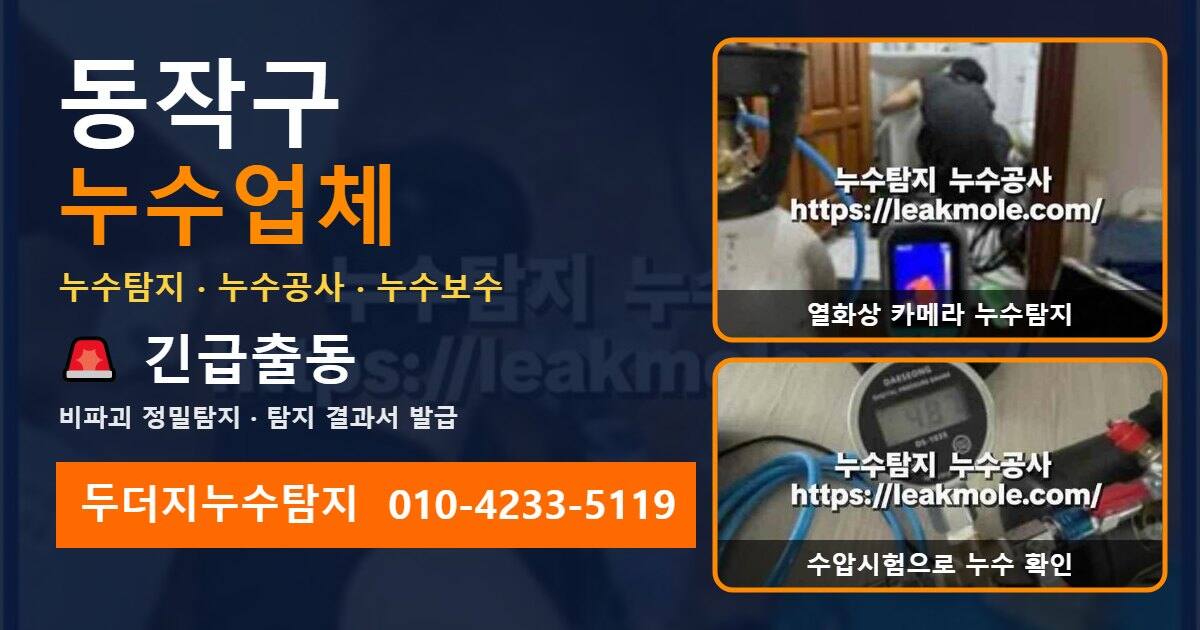 동작구누수업체 두더지누수탐지 010-4233-5119
