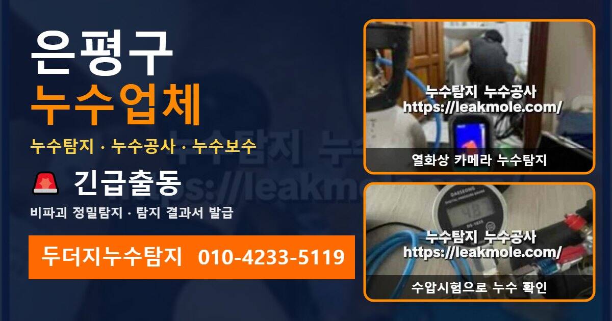 은평구누수업체 두더지누수탐지 010-4233-5119