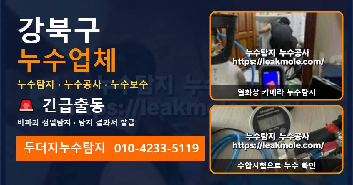 강북구누수업체 두더지누수탐지 010-4233-5119