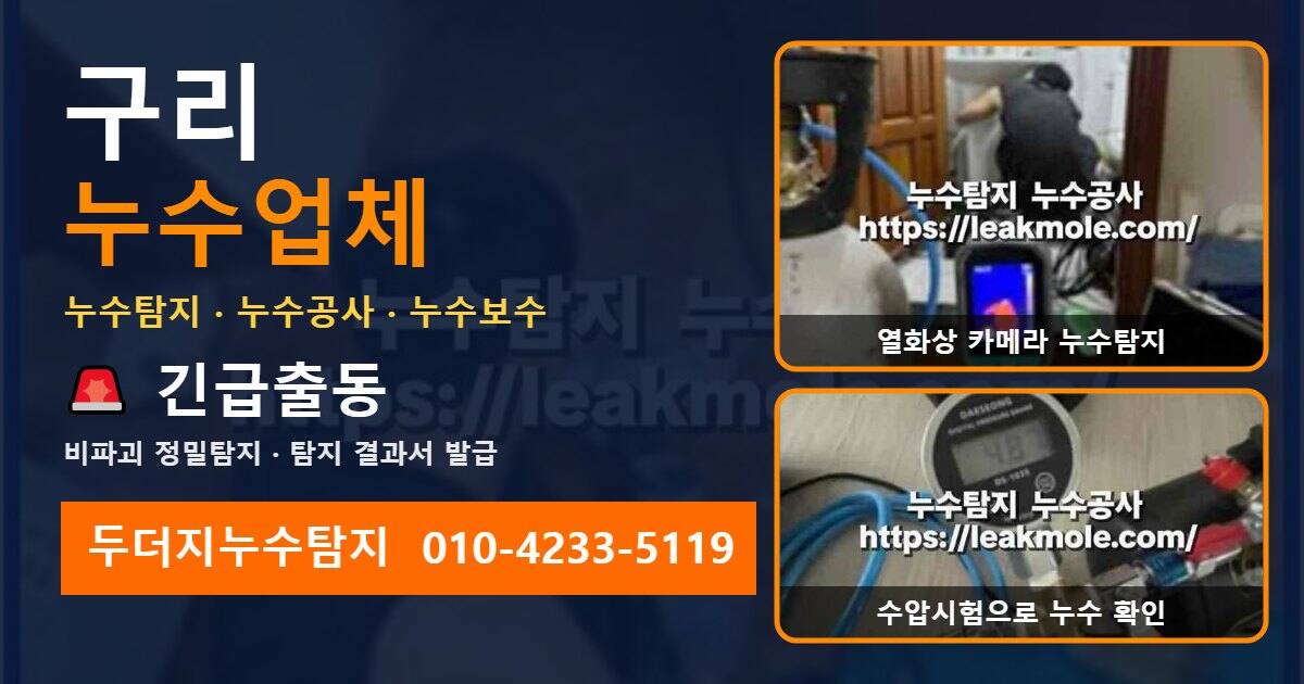 구리누수업체 두더지누수탐지 010-4233-5119