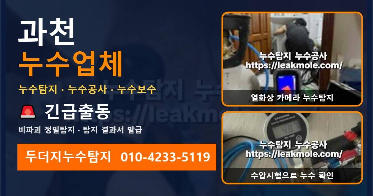 과천누수업체 두더지누수탐지 010-4233-5119