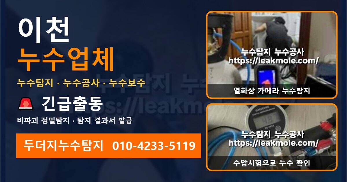 이천누수업체 두더지누수탐지 010-4233-5119