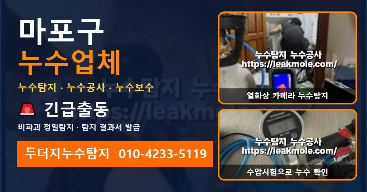 마포구누수업체 두더지누수탐지 010-4233-5119