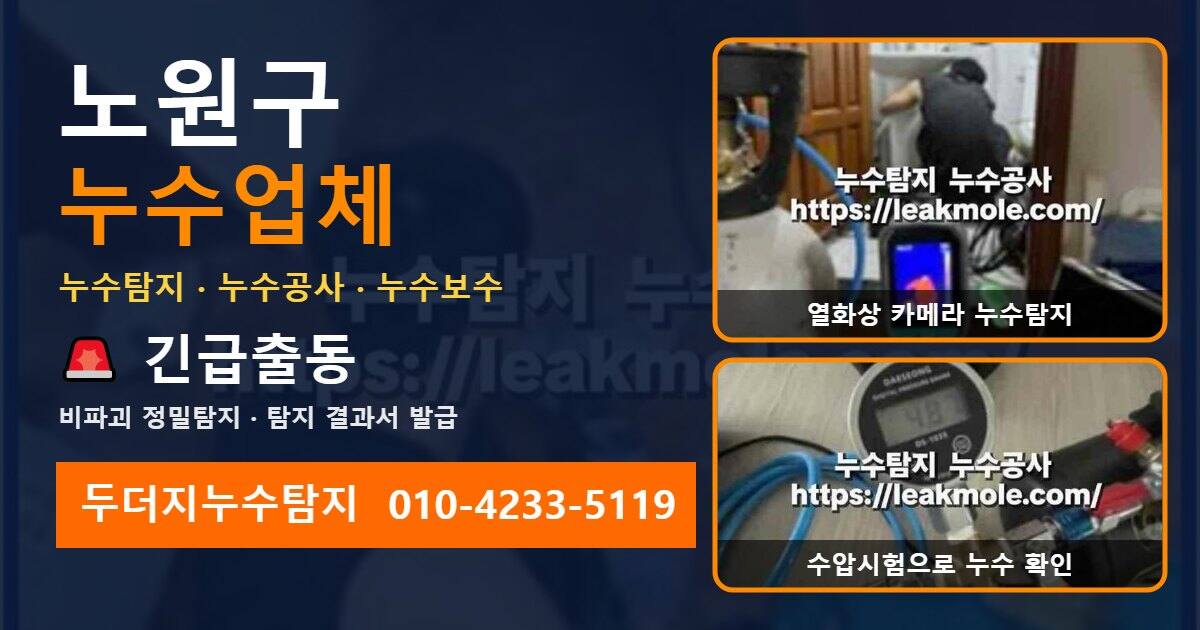 노원구누수업체 두더지누수탐지 010-4233-5119