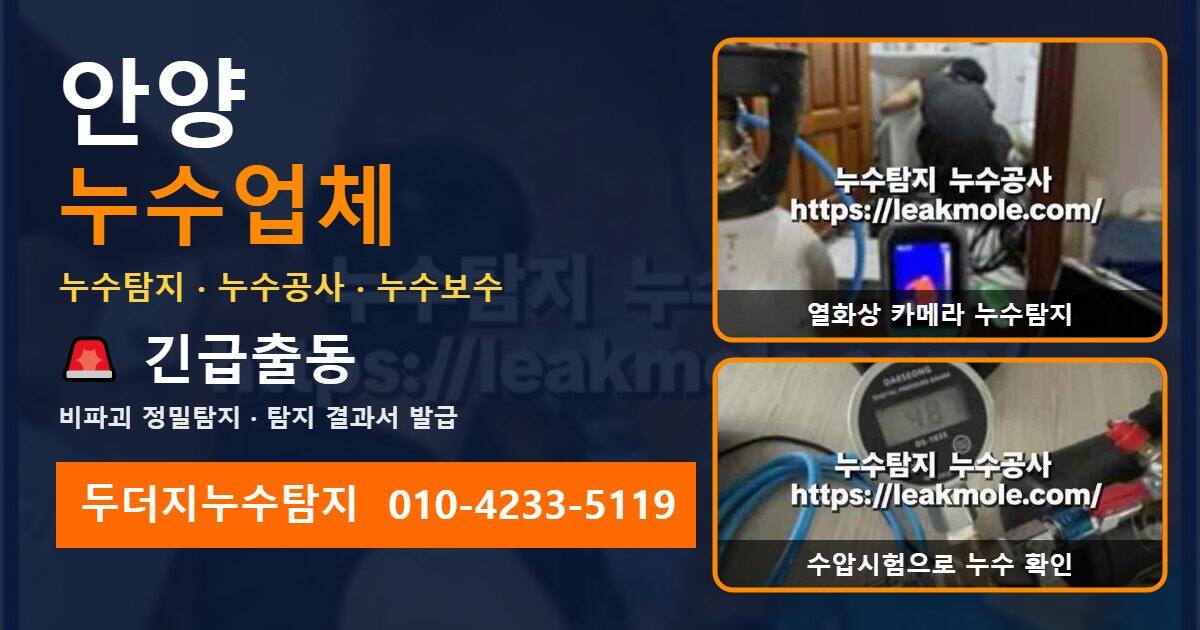 안양누수업체 두더지누수탐지 010-4233-5119