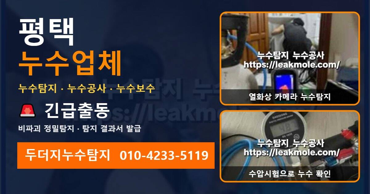 평택누수업체 두더지누수탐지 010-4233-5119