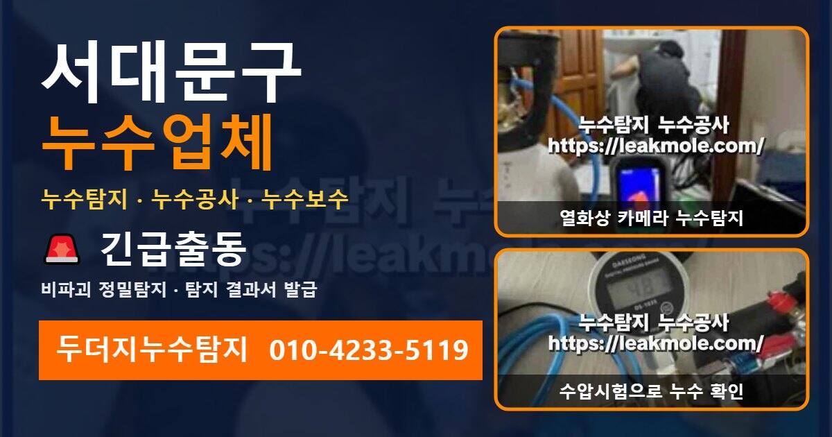서대문구누수업체 두더지누수탐지 010-4233-5119