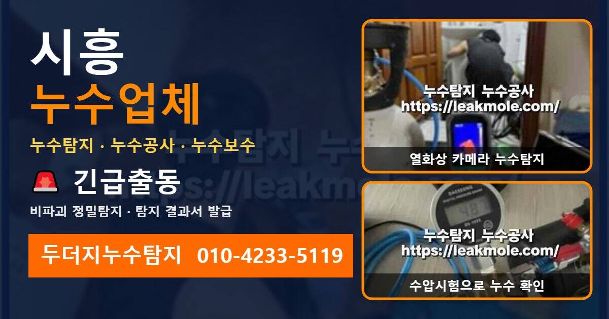 시흥누수업체 두더지누수탐지 010-4233-5119