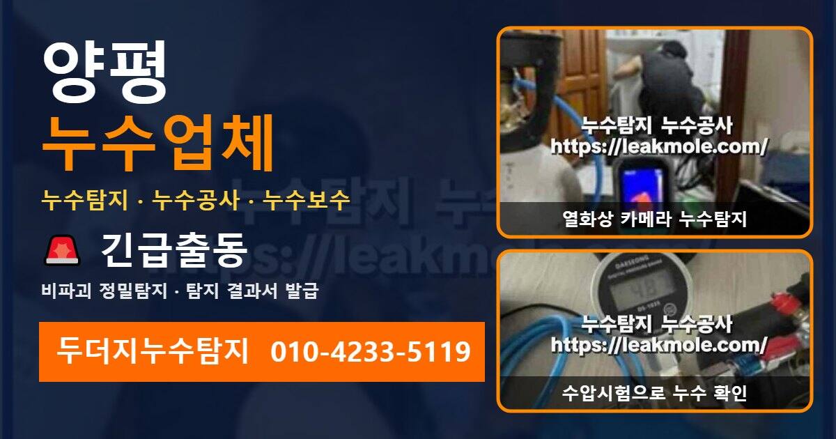 양평누수업체 두더지누수탐지 010-4233-5119