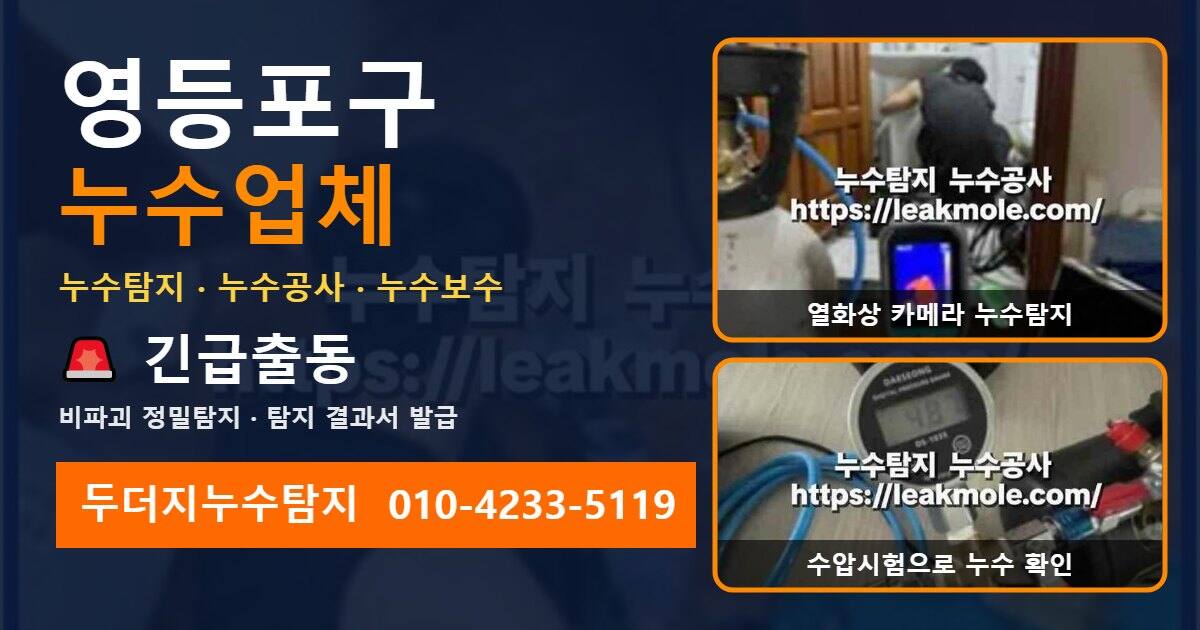 영등포구누수업체 두더지누수탐지 010-4233-5119