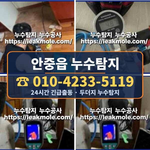 안중읍 누수탐지