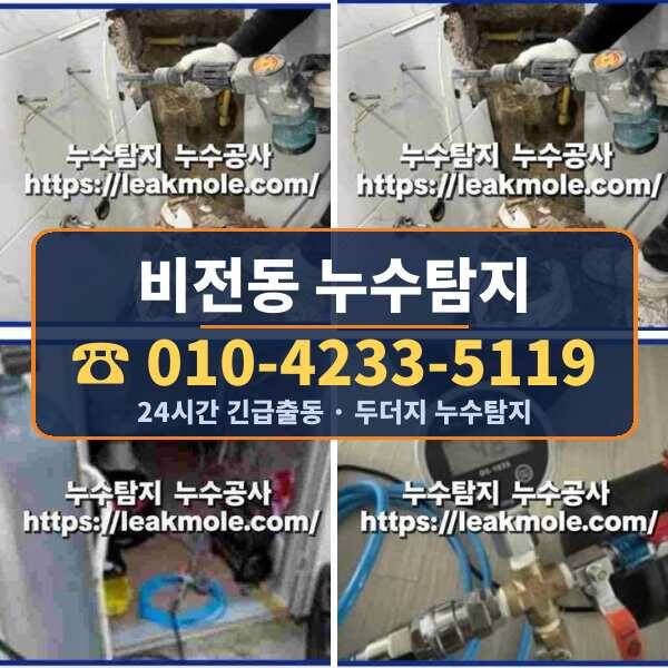비전동 누수탐지