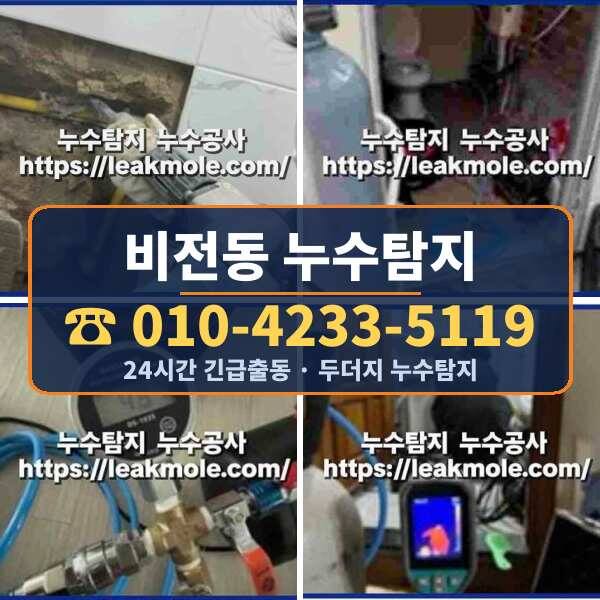 비전동 누수탐지