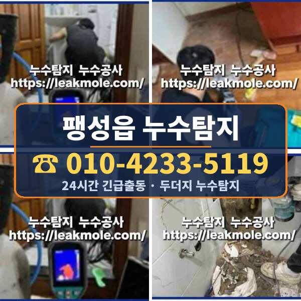 팽성읍 누수탐지